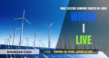 Uncover Your Local Electric Company Options: A Comprehensive Guide