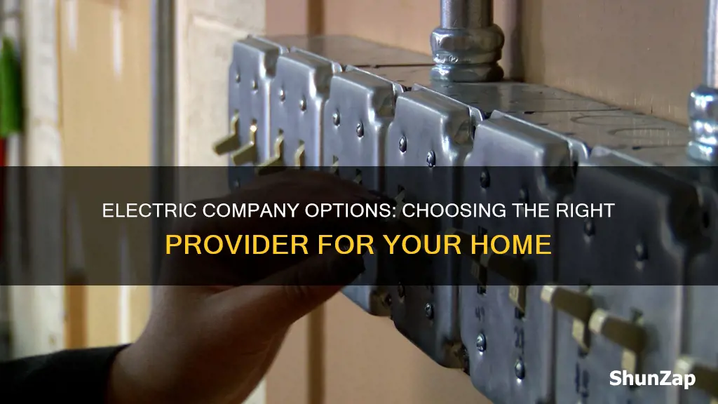 what electric company choices do i have where i live