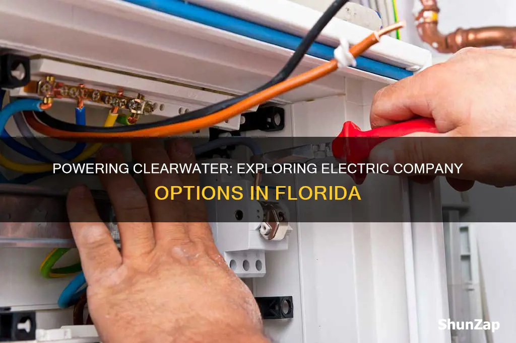 what electric company clearwater fl