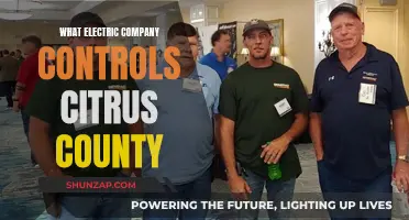 Electric Company in Citrus County: Who's in Control?