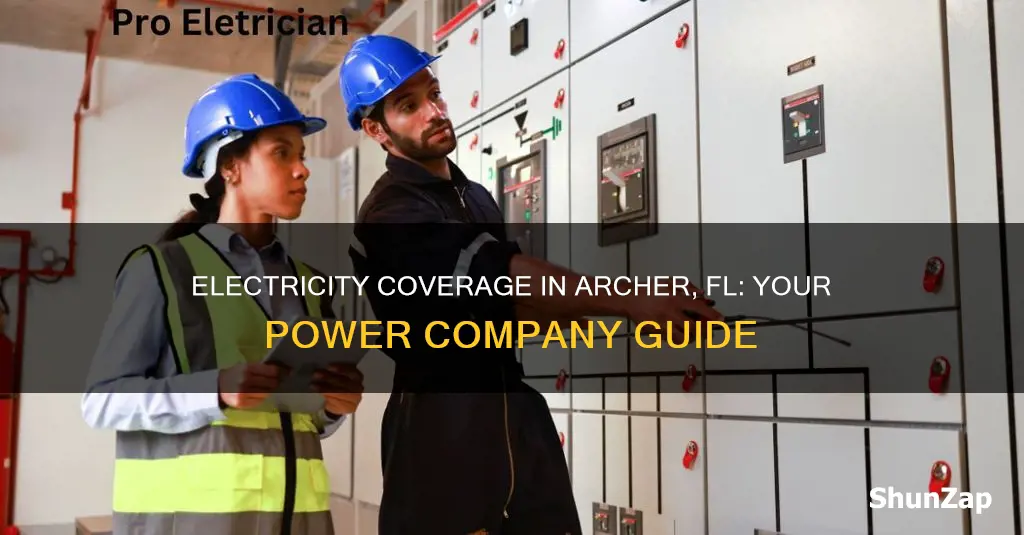 what electric company covers archer fl