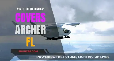 Electric Company Options for Archer, FL: Who's Available?