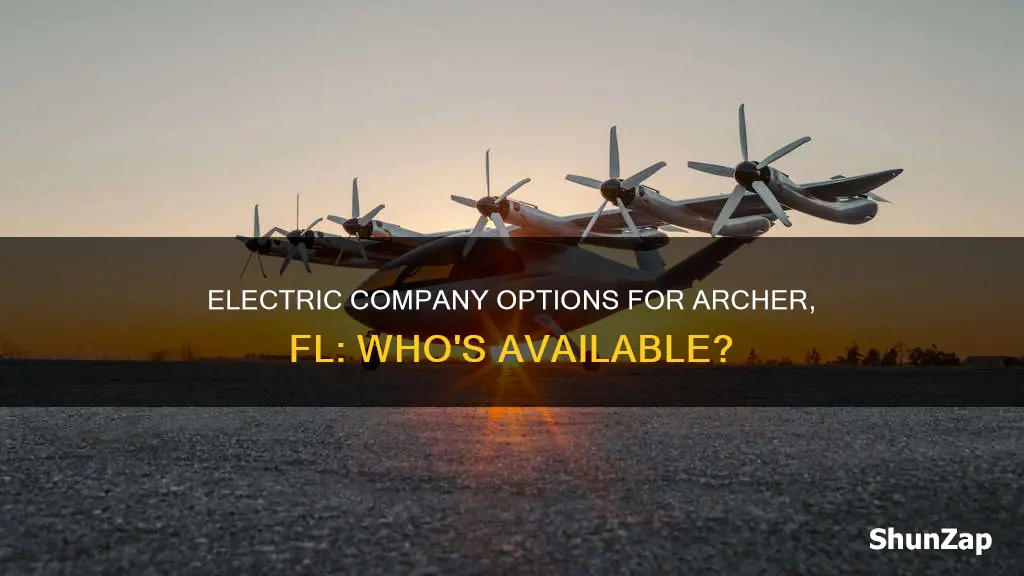 what electric company covers archer fl