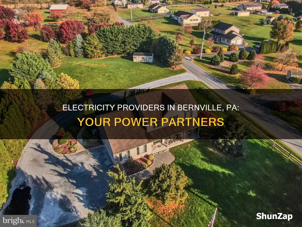 what electric company covers bernville pennsylvania