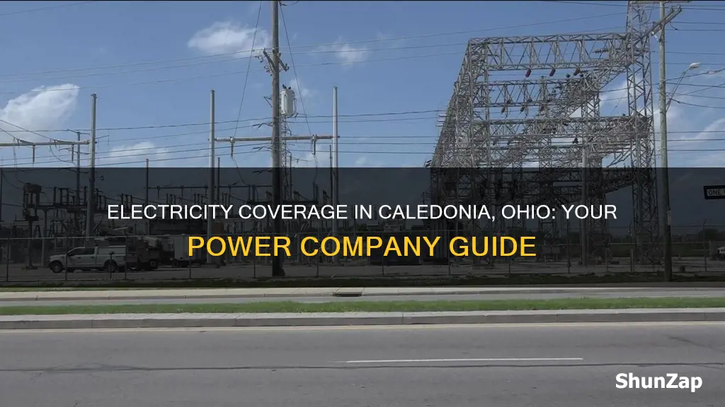 what electric company covers caledonia ohio