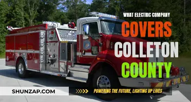 Electric Company Options for Colleton County Residents