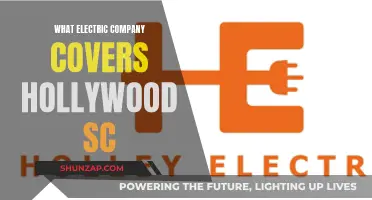 Hollywood's Electric Power: Uncovering the Company Behind the Scenes