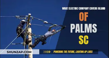 Powering the Island of Palms: Electric Company Coverage Explained