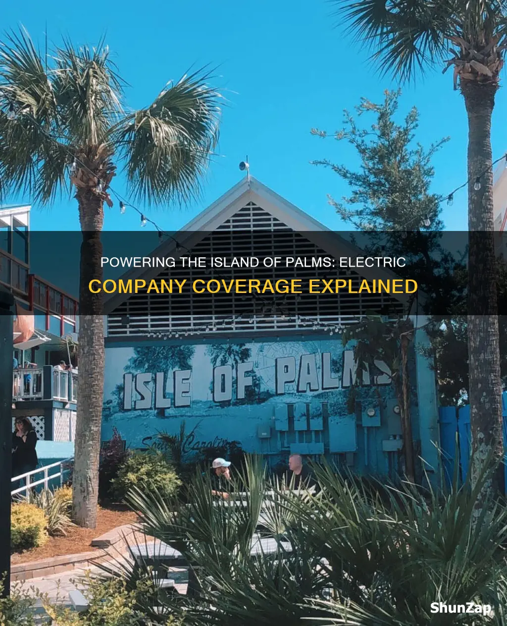 what electric company covers island of palms sc