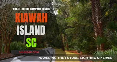 Kiawah Island's Electric Power: Who's the Supplier?