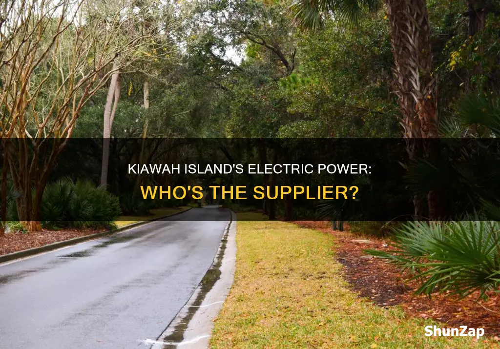 what electric company covers kiawah island sc