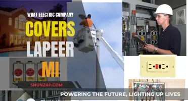 Electricity Providers in Lapeer, MI: Your Power Partners