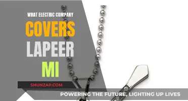 Electric Companies Covering Lapeer, Michigan: Who's Your Best Option?