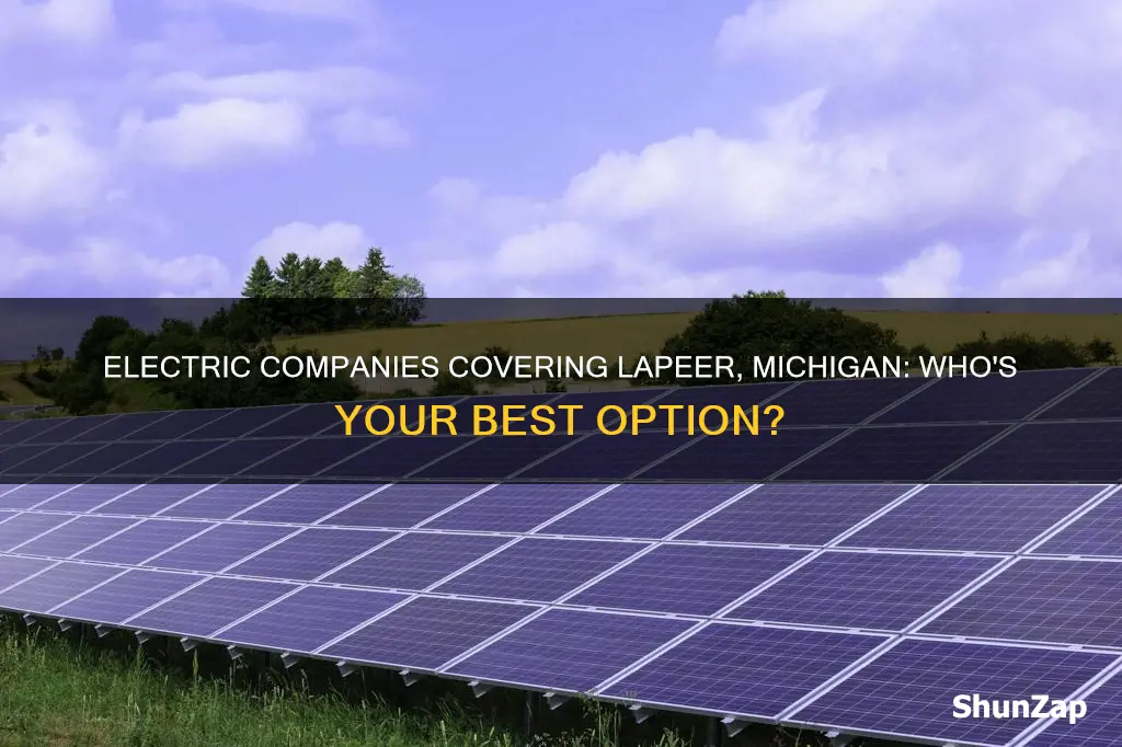 what electric company covers lapeer mi