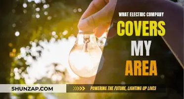 Find Out Which Electric Company Serves Your Neighborhood