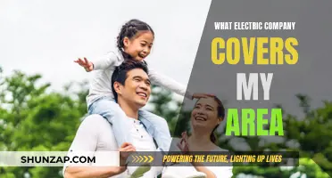 Electric Company Coverage: Find Your Area's Provider