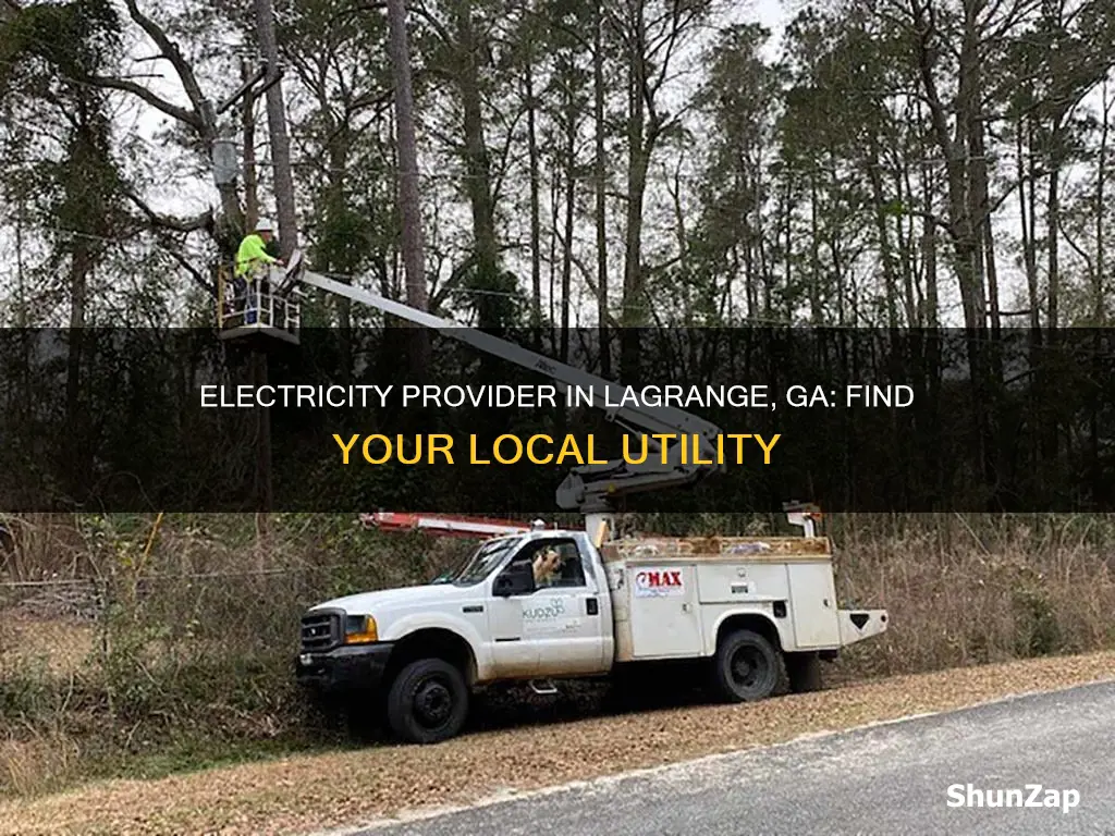 what electric company do i have in lagrange ga