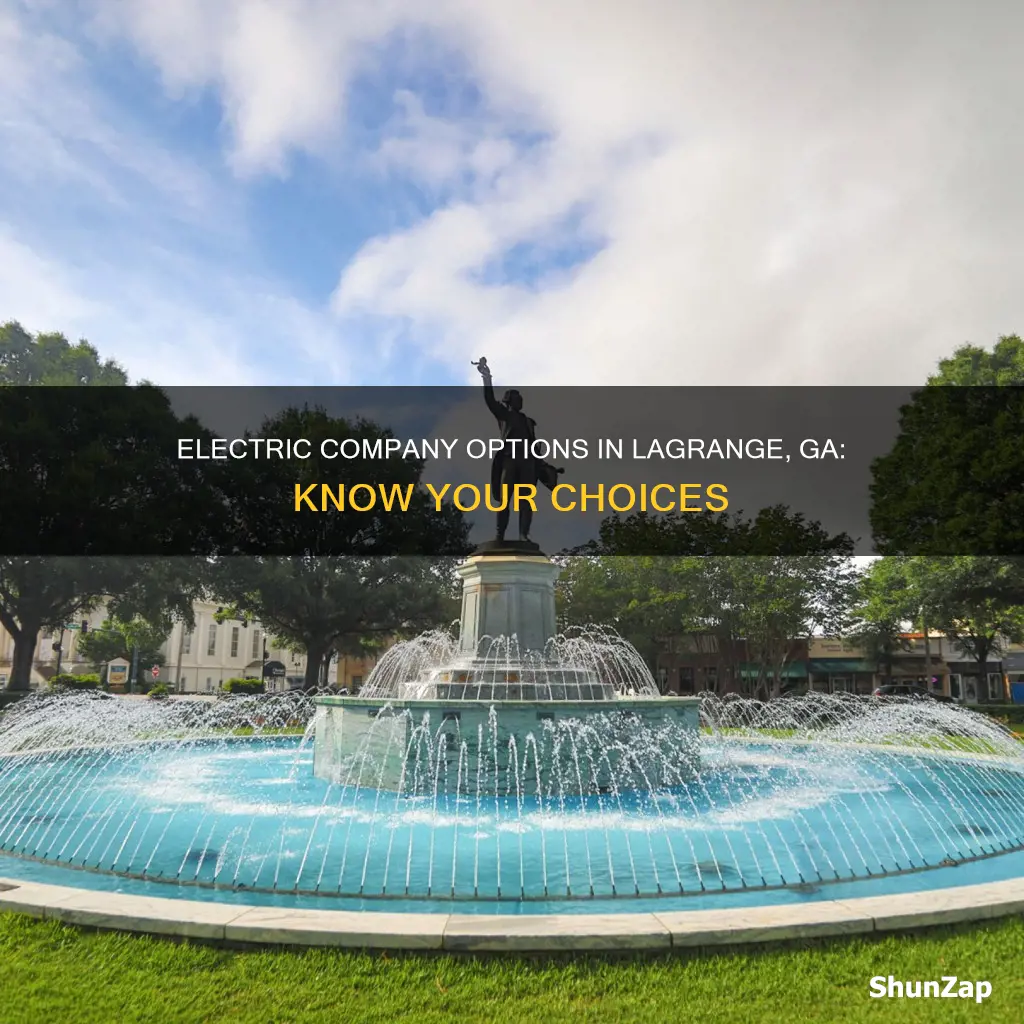 what electric company do i have in lagrange ga