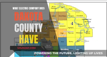 Dakota County's Electric Power: Unveiling the Provider