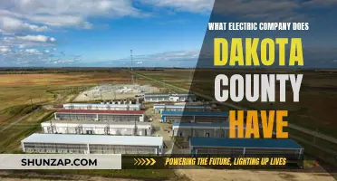 Dakota County's Electric Company: Who Powers the Region?