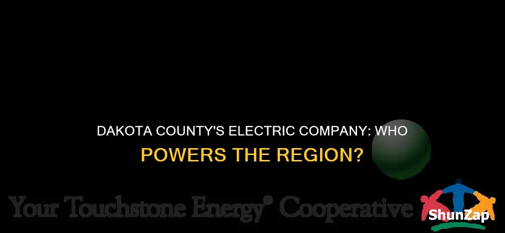 what electric company does dakota county have