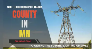 Dakota County's Electric Power: Unveiling the Provider