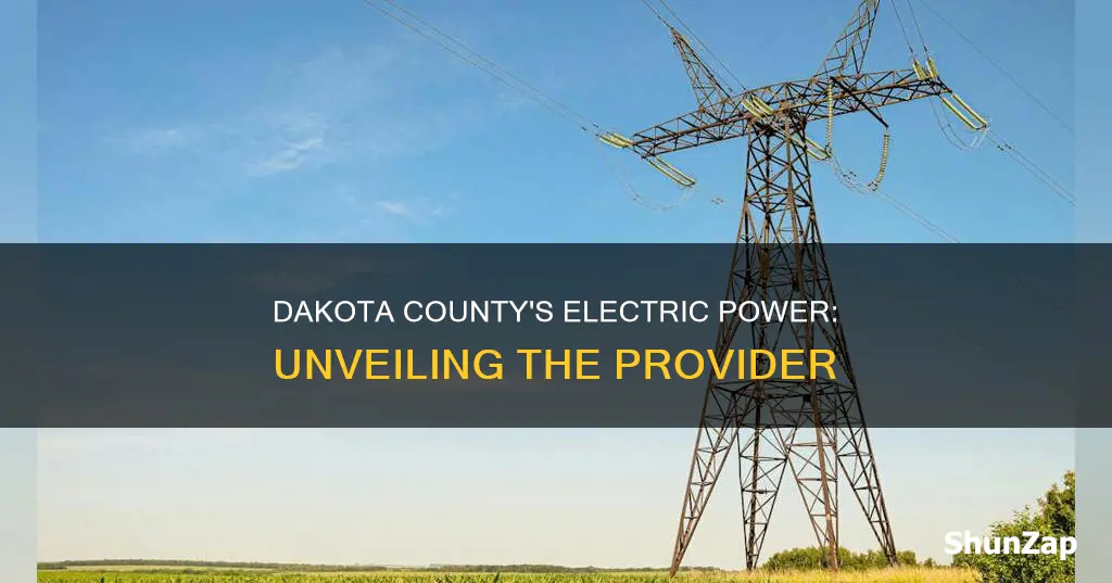 what electric company does dakota county in mn