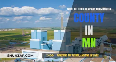 Electric Companies in Dakota County, MN: Who Powers Your Home?
