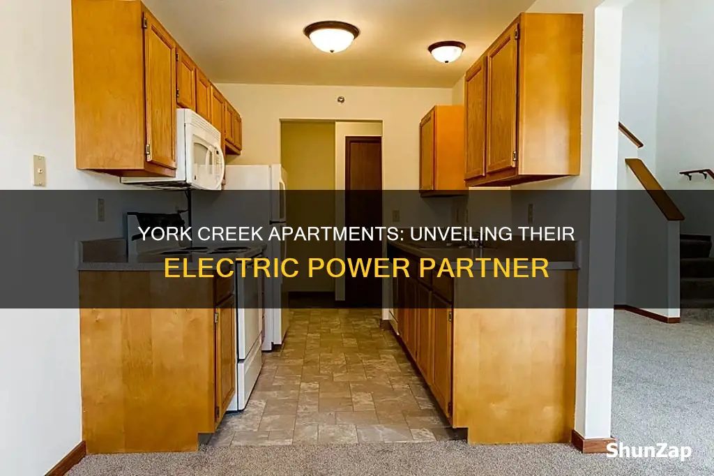 what electric company does york creek apartments have