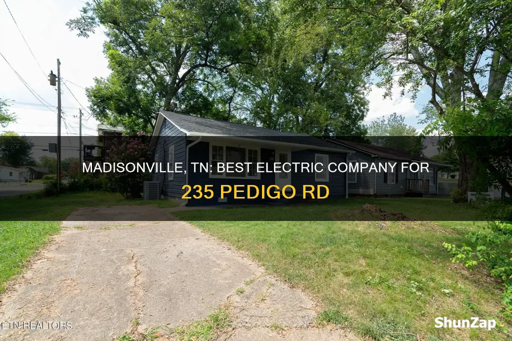 what electric company for 235 pedigo rd madisonville tn 37354