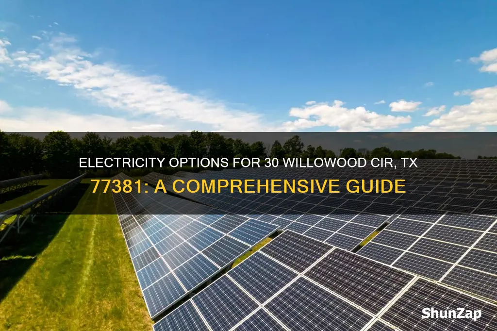 what electric company for 30 willowood cir tx 77381