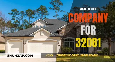 Powering Your Home: Choosing the Best Electric Company in 32081