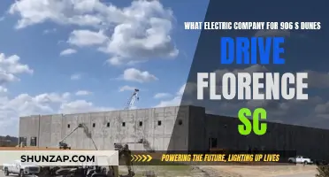 Electricity for Florence: Choosing the Right Company for Your Home