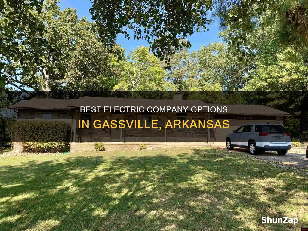 what electric company for gassville ar