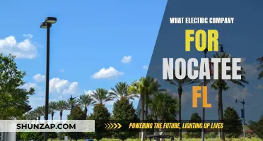 Nocatee FL: Choosing the Best Electric Company