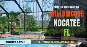 Willowcove Nocatee's Electric Company: Powering Your Home Efficiently