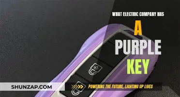 Unveiling the Mystery: Which Electric Company Owns the Purple Key?