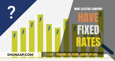 Electricity Rates: Fixed or Variable? The Best Companies to Choose From