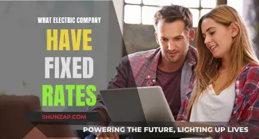 Fixed Electric Rates: Which Companies Offer This?