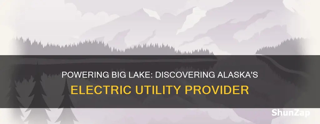 what electric company in big lake alaska