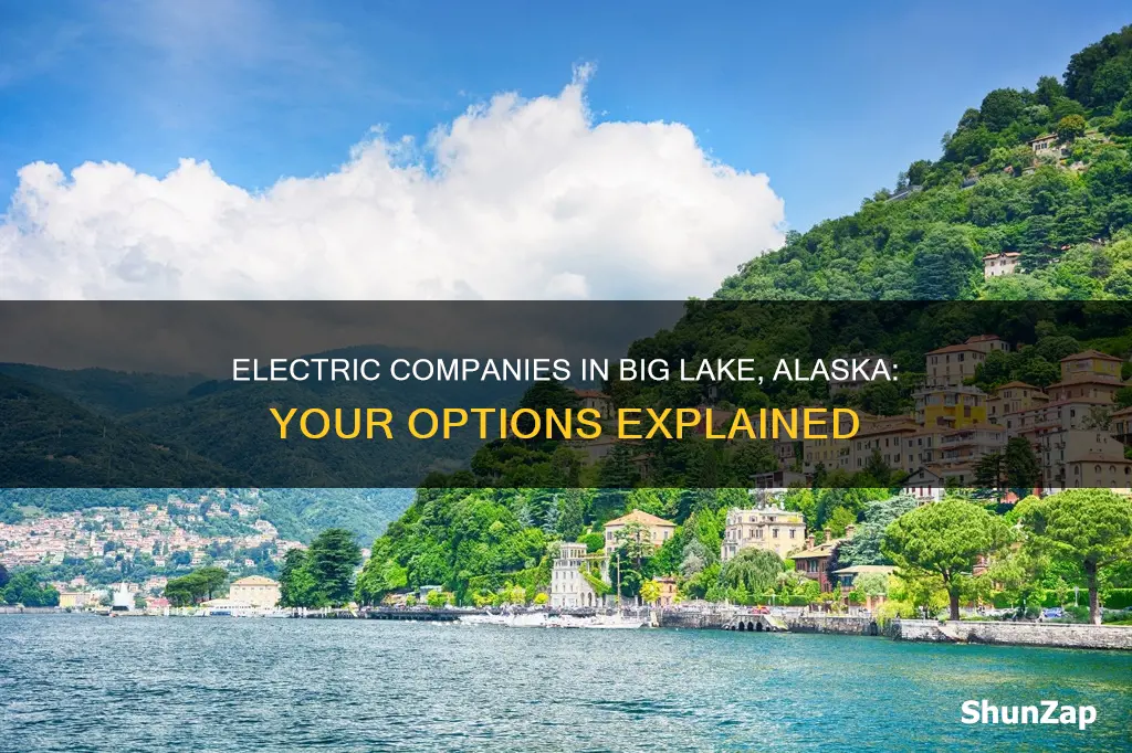 what electric company in big lake alaska