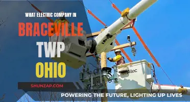 Braceville Twp's Electric Power: A Local Company's Impact