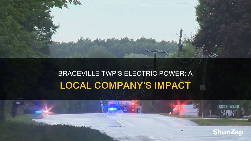 what electric company in braceville twp ohio