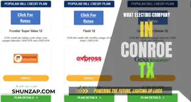 Electric Company Options in Conroe, Texas: Your Guide