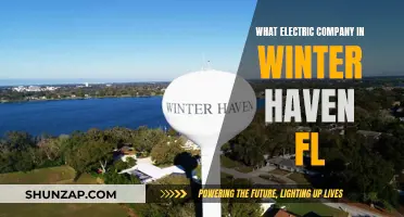 Winter Haven's Electric Power: Who's the Supplier?