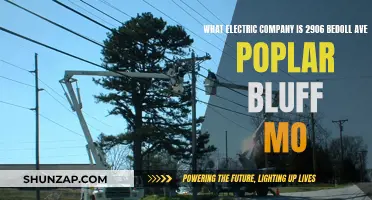 Poplar Bluff's Electric Company: Powering 2906 Bedoll Ave