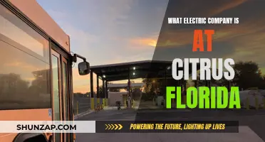 Electric Companies in Citrus County, Florida: Who Powers the Region?
