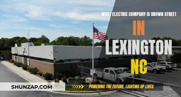 Brown Street's Electric Company Provider in Lexington, NC