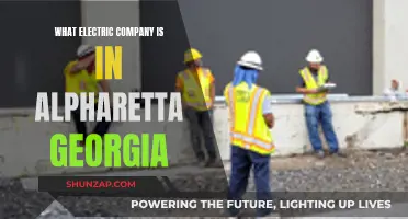 Electric Company Options in Alpharetta, Georgia