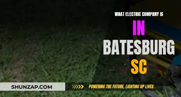 Electric Companies in Batesburg, South Carolina: Who Powers the Town?